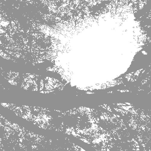 Comets on Fire- Field Recordings from the Sun - LP