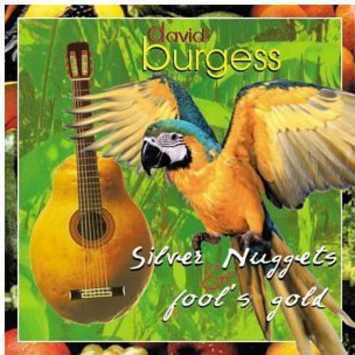 David Burgess: Silver Nuggets & Fool's Gold  [ CD ]