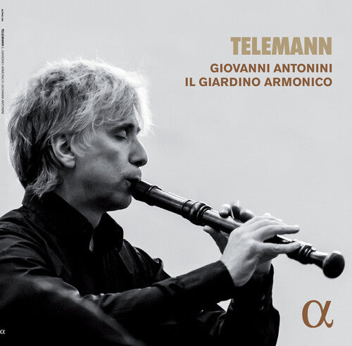 Telemann / Armonico / Antonini: Telemann [ LP ]