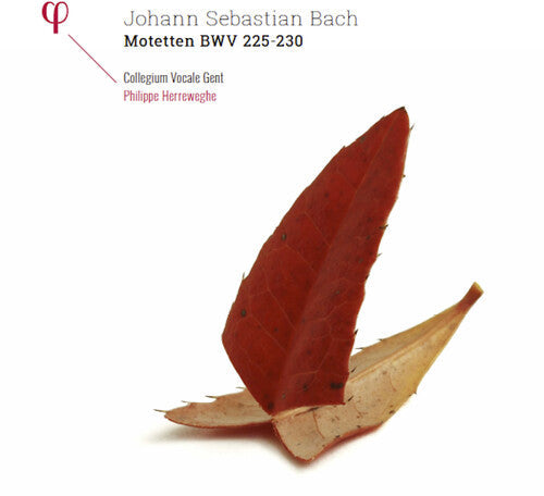 Bach, J.S. / Collegium Vocale Gent / Herreweghe: Johann Sebastian Bach: Motetten BWV 225-230 [ LP ]