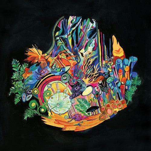 Kaitlyn Aurelia Smith- Ears - LP