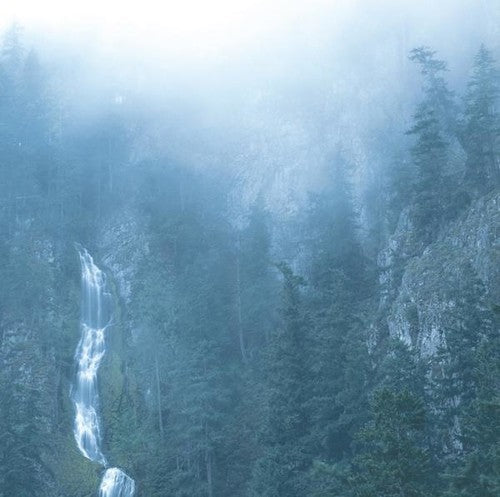 Wolves In The Throne Room- Diadem Of 12 Stars - LP