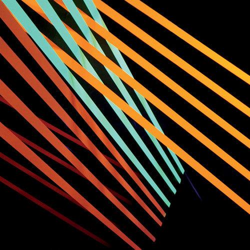 Shit Robot- What Follows - LP
