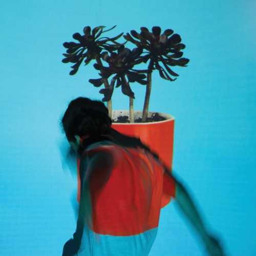 Local Natives: Sunlit Youth - CD