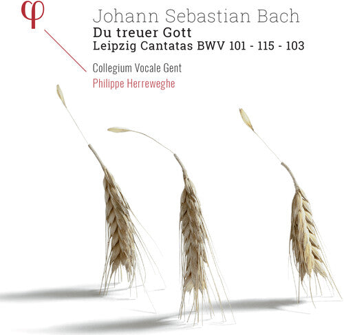 Bach, J.S. / Herreweghe: Du Treuer Gott / Leipzig Cantatas  [ CD ]