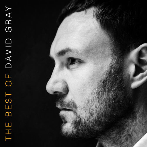 David Gray- The Best Of David Gray [Vinyl] - LP