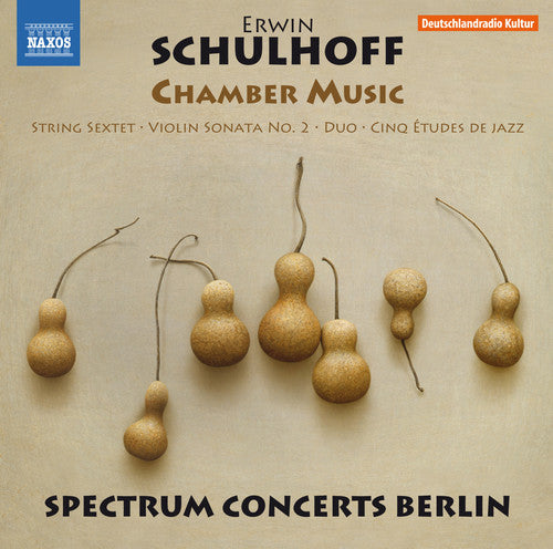 Schulhoff / Brovtsyn / Sokolov: Erwin Schulhoff: Chamber Music  [ CD ]