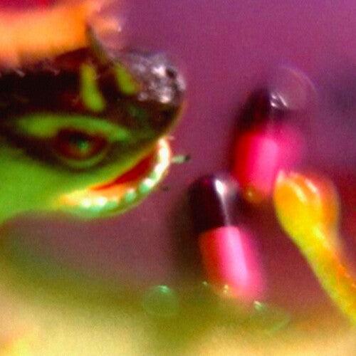 Bush Tetras- Take The Fall - LP