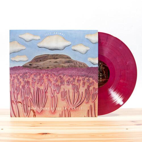 Post Animal- When I Think Of You In A Castle ( - LP