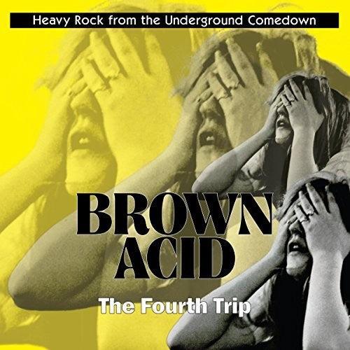 Various Artists- Brown Acid: Fourth Trip (Various Artists) - LP