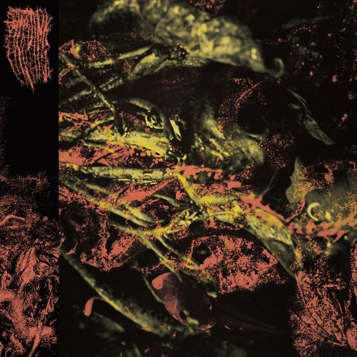 Hissing- Permanent Destitution - LP