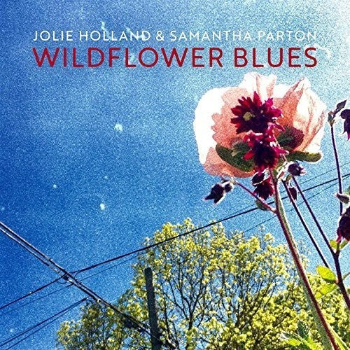 Jolie Holland: Wildflower Blues  [ CD ]