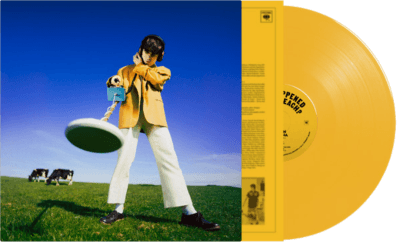 Declan McKenna- What Happened To The Beach? (Indie Exclusive Vinyl) - LP