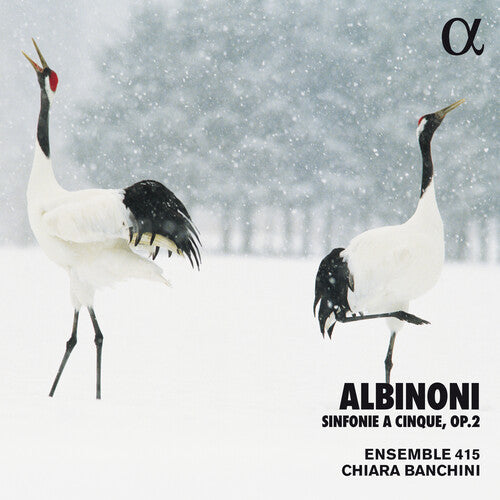 Albinoni / Banchini / Ensemble 415: Sinfonie a Cinque 2  [ CD ]