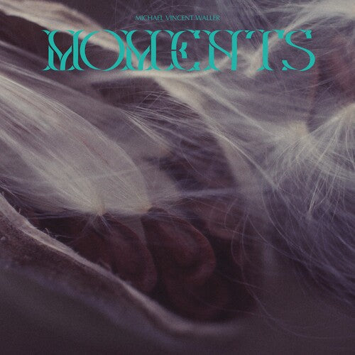 Michael Vincent Waller: Moments  [ CD ]