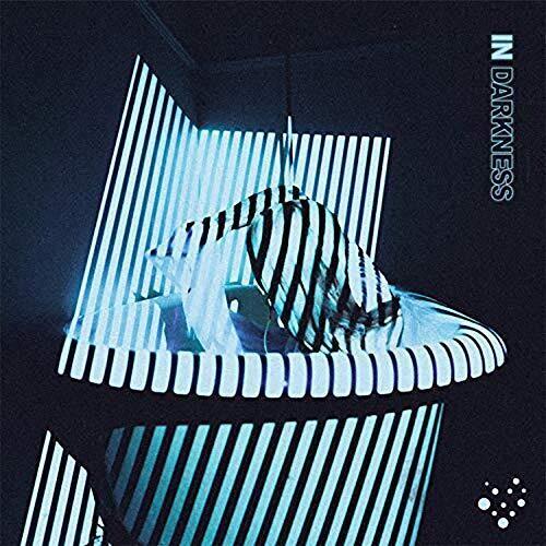 Varials- In Darkness - LP