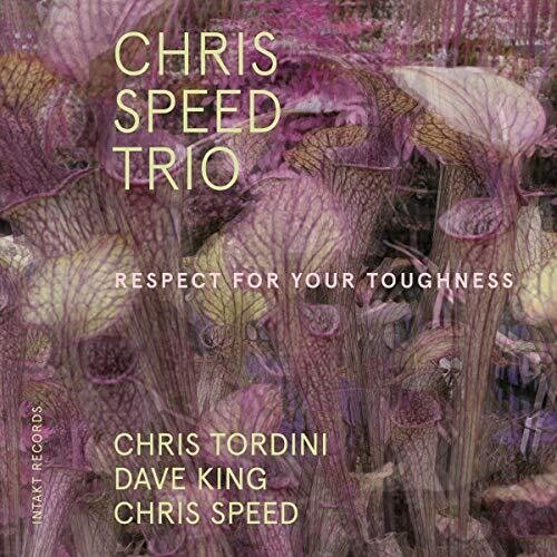 Chris Speed Trio: Respect for Your Toughness  [ CD ]