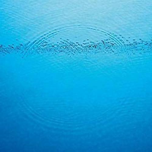 Caribou- Suddenly - LP