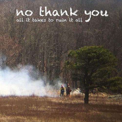No Thank You- All It Takes To Ruin It All - LP