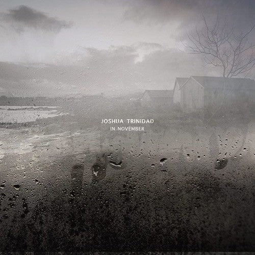 Joshua Trinidad- In November [180 Gram] - LP