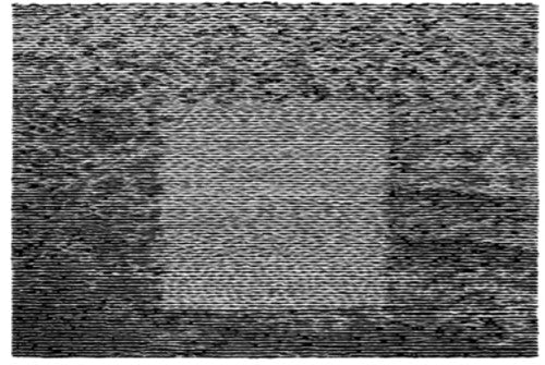 Grouper- Grid Of Points [LP] - LP