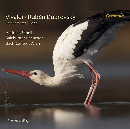 Vivaldi / Herfurtner / Bachchor: Stabat Mater / Gloria  [ CD ]