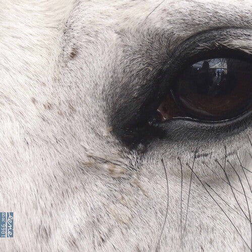 Various: Openings of the Eye  [ CD ]