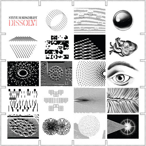 Steve Hauschildt: Dissolvi [ LP ]