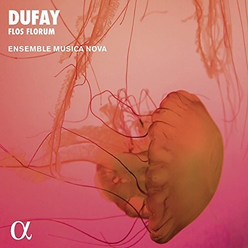 Dufay / Ensemble Musica Nova: Flos Florum  [ CD ]