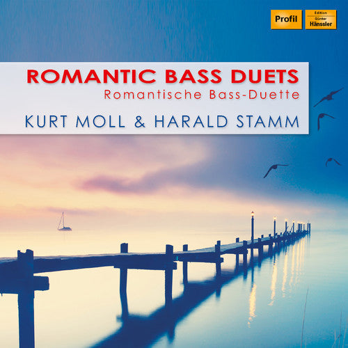 Dvorak / Stamm / Grunelius: Romantic Bass Duets  [ CD ]