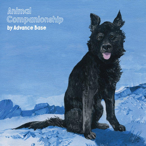 Advance Base: Animal Companionship - CD