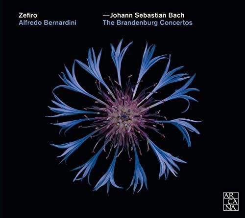 Bach, J.S. / Zefiro / Bernardini: Brandenburg Concertos  [ CD ]