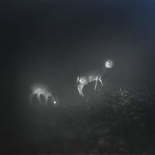 Bliss Signal- Bliss Signal [Limited Edition] - LP