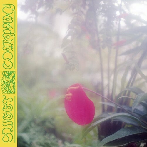 Jabu: Sweet Company [ LP ]