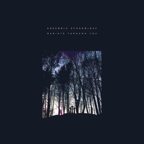 Ensemble Economique: Radiate Through You  [ CD ]