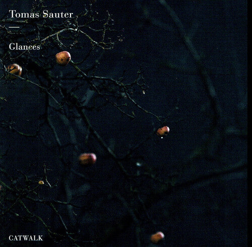 Sauter / Sauter: Glances  [ CD ]