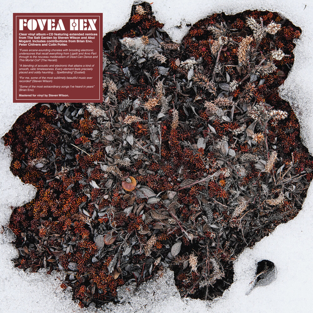 Fovea Hex- Salt Garden (Clear Vinyl) (W/Cd) [Clear Vinyl] - LP