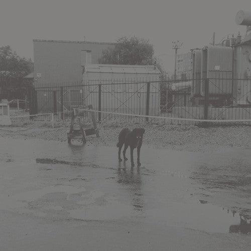 Nivhek- After Its Own Death / Walking In A Spiral Towards The House - LP