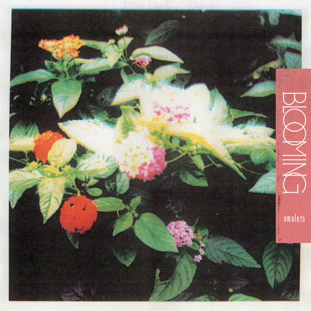 Amulets- Blooming - LP