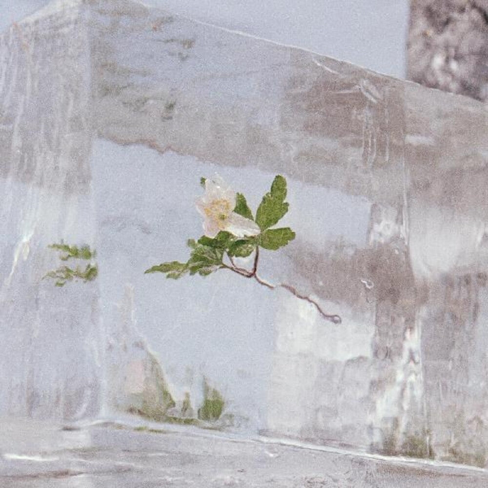 Efterklang- Windflowers - LP