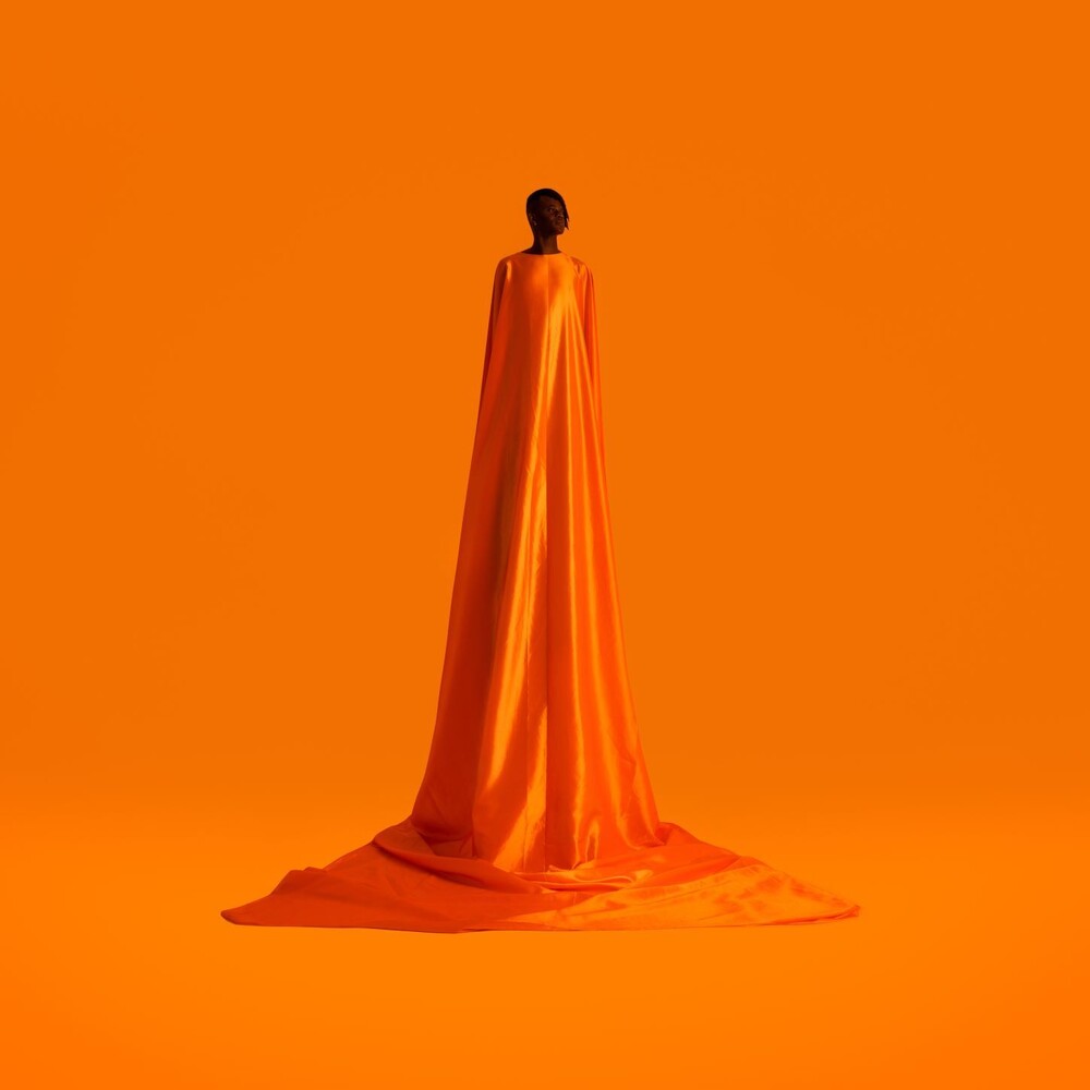 Wayne Snow- Figurine (Uk) - LP