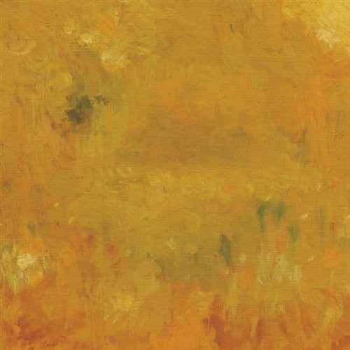 Bevel: Where Leaves Block the Sun  [ CD ]