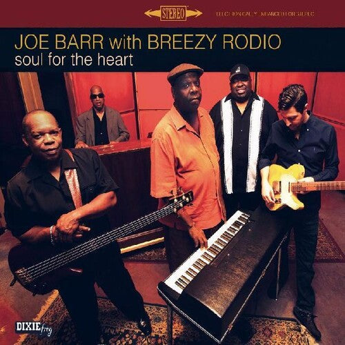 Joe Barr: Soul For The Heart [ LP ]