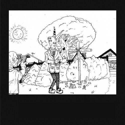 Teen Suicide- It's the Big Joyous Celebration Let's Stir the Honeypot - LP
