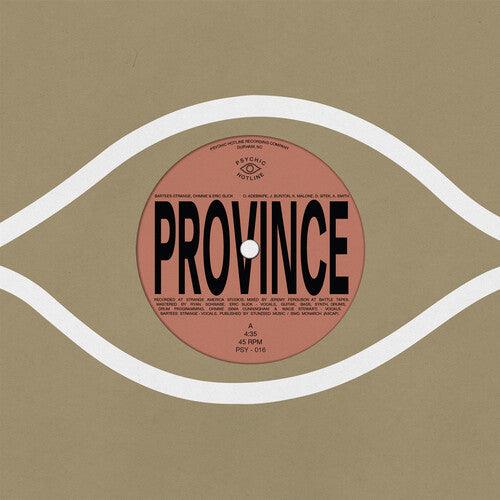 Bartees Strange- Province / Ever New - LP