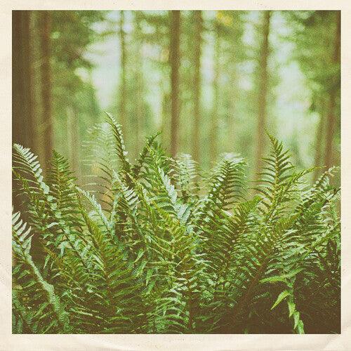 mtbrd- Just Visiting - LP