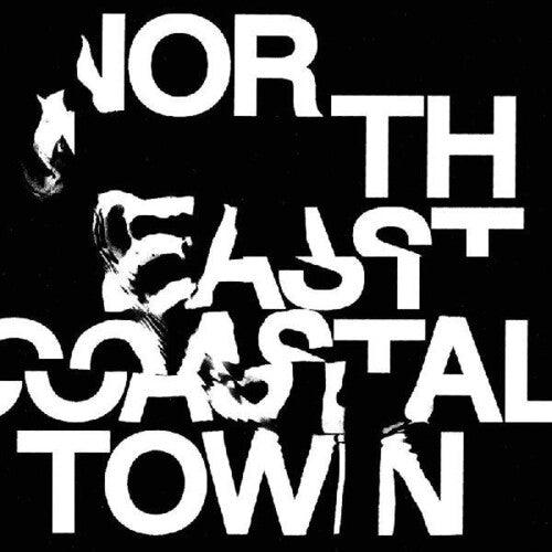 The Life- North East Coastal Town - LP