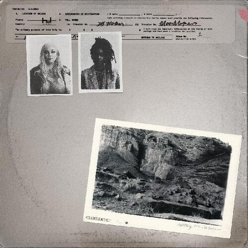 700 Bliss: Nothing To Declare [ LP ]