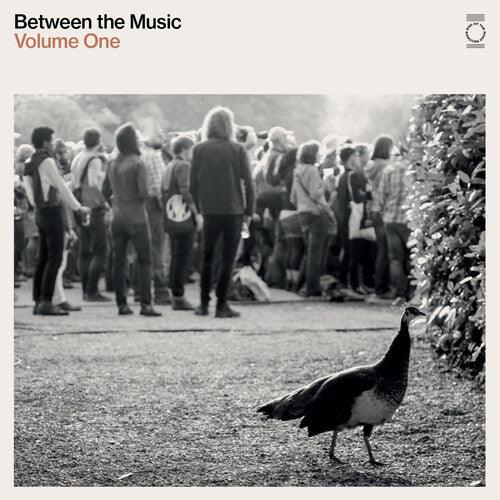 Various Artists- End Of The Road Presents: Between The Music / Var - LP