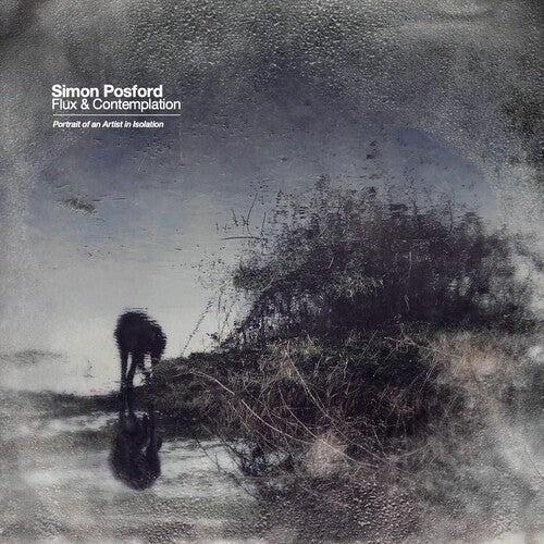 Simon Posford: Flux & Contemplation: Portrait Of An Artist In Isolation [ LP ]